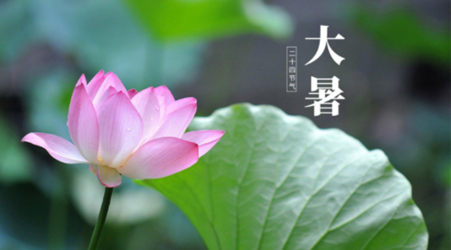 大暑時(shí)節(jié)！金環(huán)電器提醒大家注意這些干衣細(xì)節(jié)