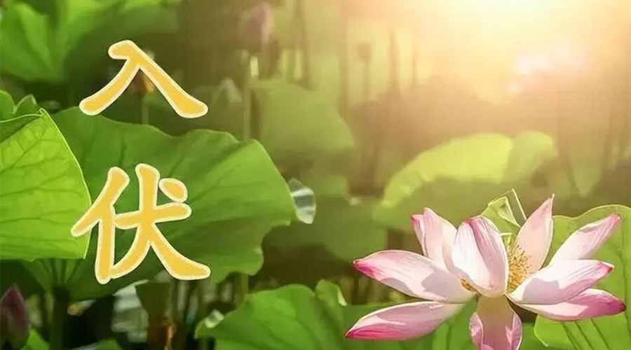 入伏天來襲！金環(huán)電器提醒大家要注意的事項(xiàng)