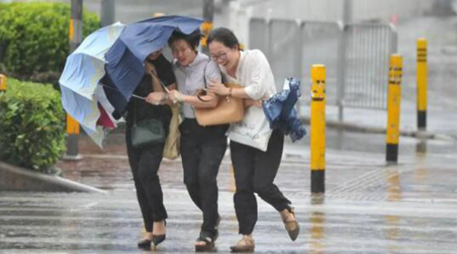 家有衣物烘干機(jī)，無(wú)懼臺(tái)風(fēng)天吹走和淋濕衣物！