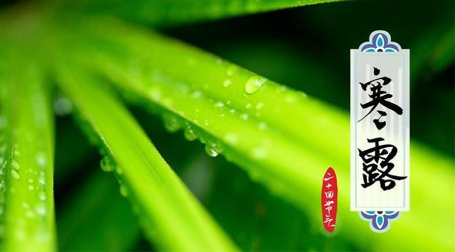 寒露時(shí)節(jié)到！金環(huán)電器提醒這些干衣事項(xiàng)要注意