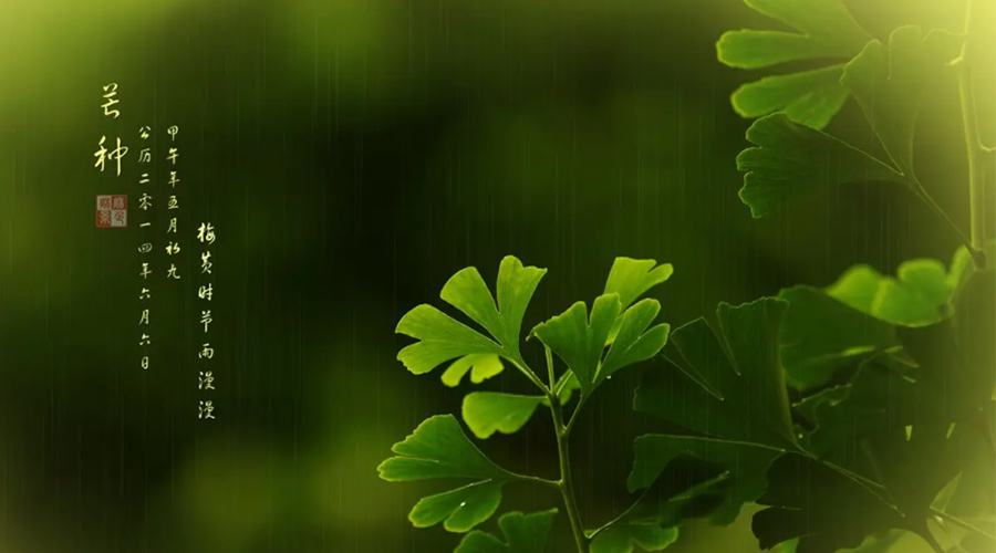 芒種時(shí)節(jié)！金環(huán)電器提醒大家的注意事項(xiàng)