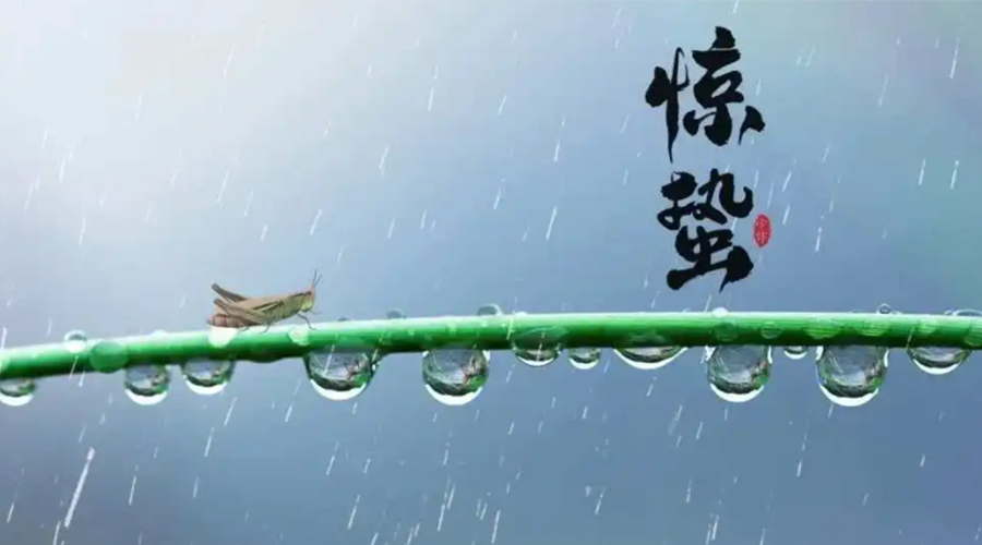 驚蟄時(shí)節(jié)！金環(huán)電器提醒大家干衣要注意這些