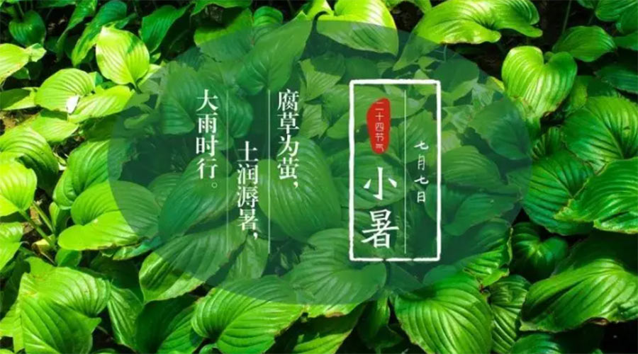 小暑時節(jié)來到！金環(huán)電器提醒大家要注意的事項