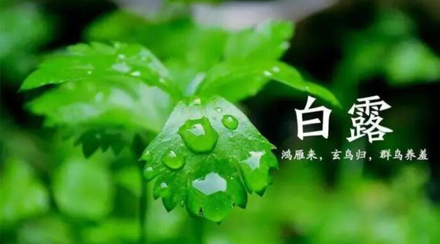 白露時(shí)節(jié)！金環(huán)電器提醒大家要注意的事項(xiàng)