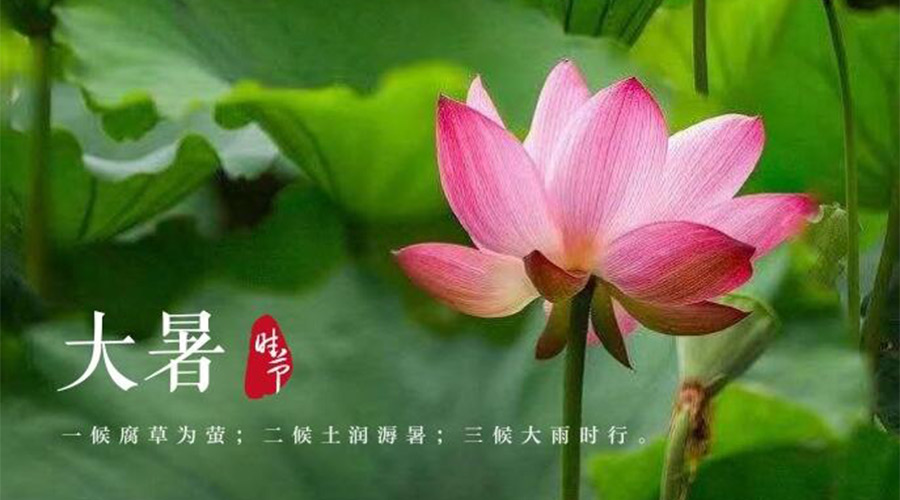 大暑時(shí)節(jié)！金環(huán)電器提醒大家要注意的事項(xiàng)