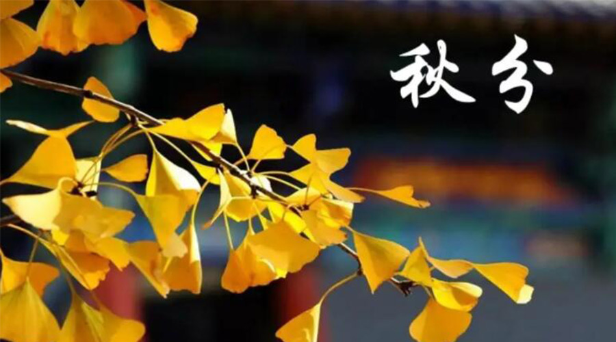 秋分時(shí)節(jié)！金環(huán)電器提醒大家要注意的事項(xiàng)