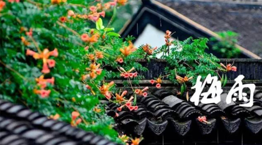 什么是梅雨？梅雨如何形成？  金環(huán)電器告訴你答案